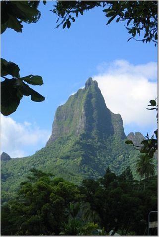 Moorea, Tahiti!