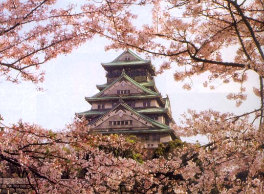 Osaka, Japan!